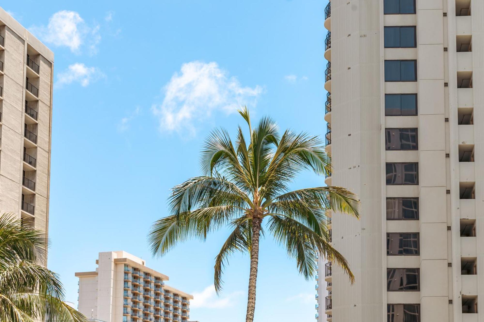 1Br With Great Ocean Views, 1 Block To Waikiki Beach Honolulu Exterior photo